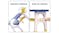 TSB Living Children's Desk & Chair Set - Blue/Yellow Dino