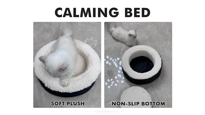 TSB Living Memory Foam Pet Bed Small - R40