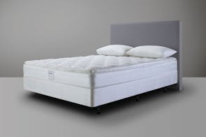Bodyform Pillowtop Queen Bed by Sealy Posturepedic