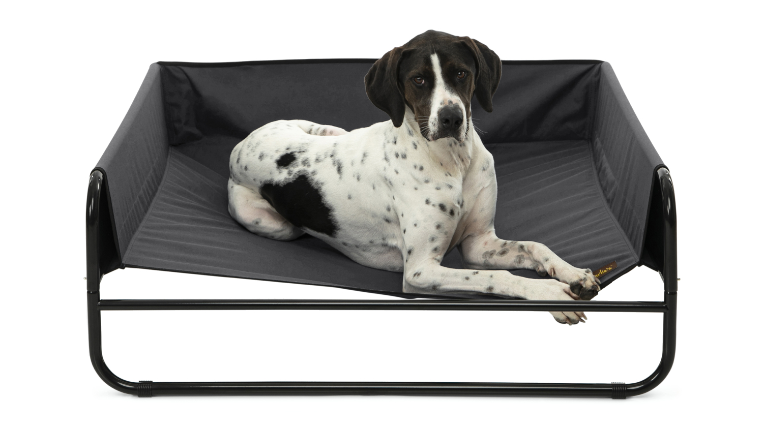 Charlie's High Wall Hammock Pet Bed Large - Black