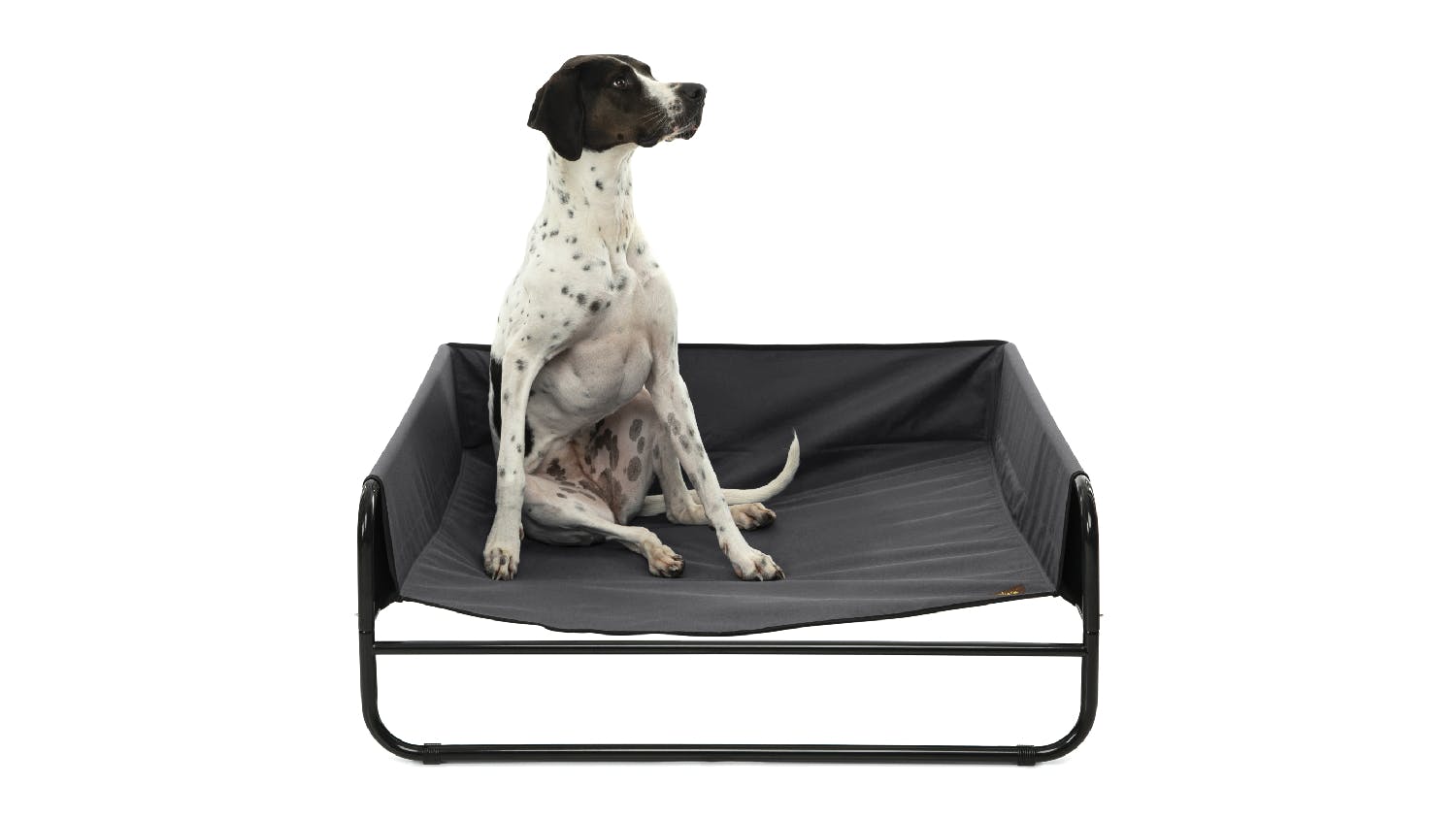 Charlie's High Wall Hammock Pet Bed Large - Black