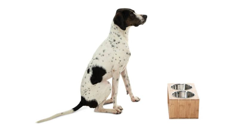 Charlie's Raised Bamboo Pet Feeding Station with Stainless Steel Bowls