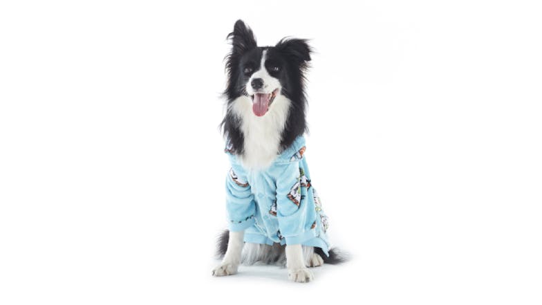 Uggo Wear Sherpa Fleece Pet Hoodie Extra Medium - Teal Wassap'B