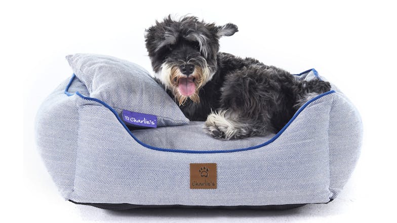 Charlie's Hampton Dog Bed with Blanket, Pillow Small - Herringbone Blue/Grey