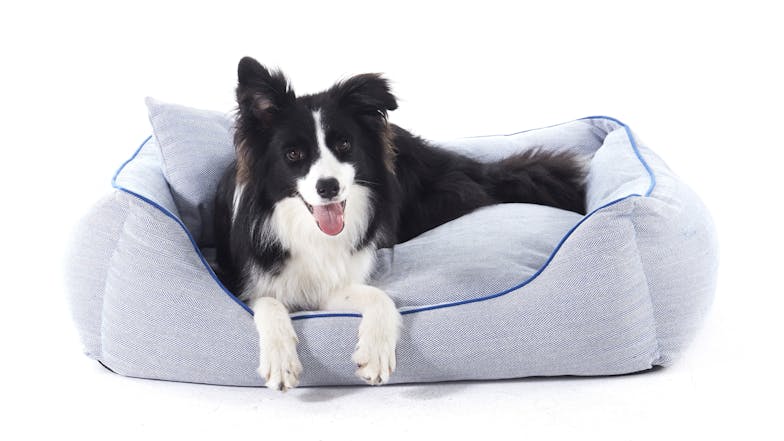 Charlie's Hampton Dog Bed with Blanket, Pillow Medium - Herringbone Blue/Grey