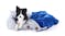 Charlie's Hampton Dog Bed with Blanket, Pillow Medium - Herringbone Blue/Grey