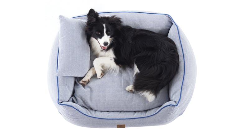 Charlie's Hampton Dog Bed with Blanket, Pillow Medium - Herringbone Blue/Grey