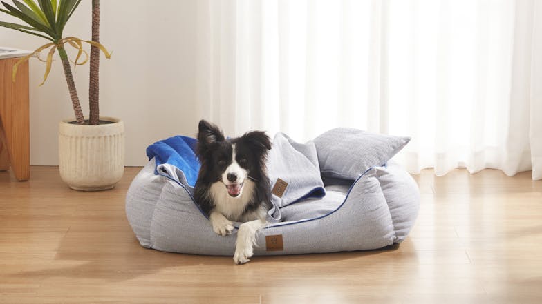 Charlie's Hampton Dog Bed with Blanket, Pillow Medium - Herringbone Blue/Grey