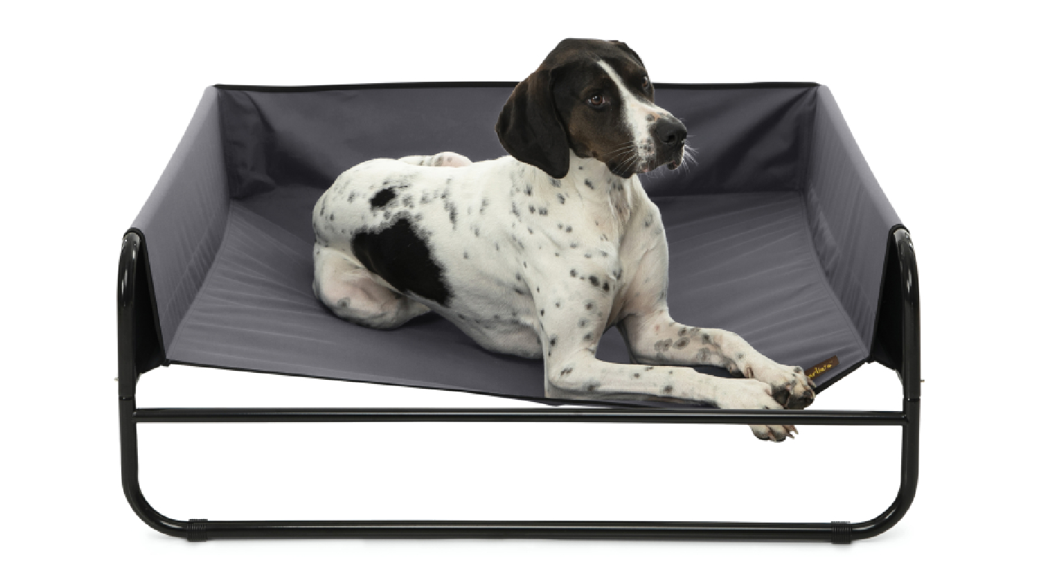 Charlie's High Wall Hammock Pet Bed Large - Grey
