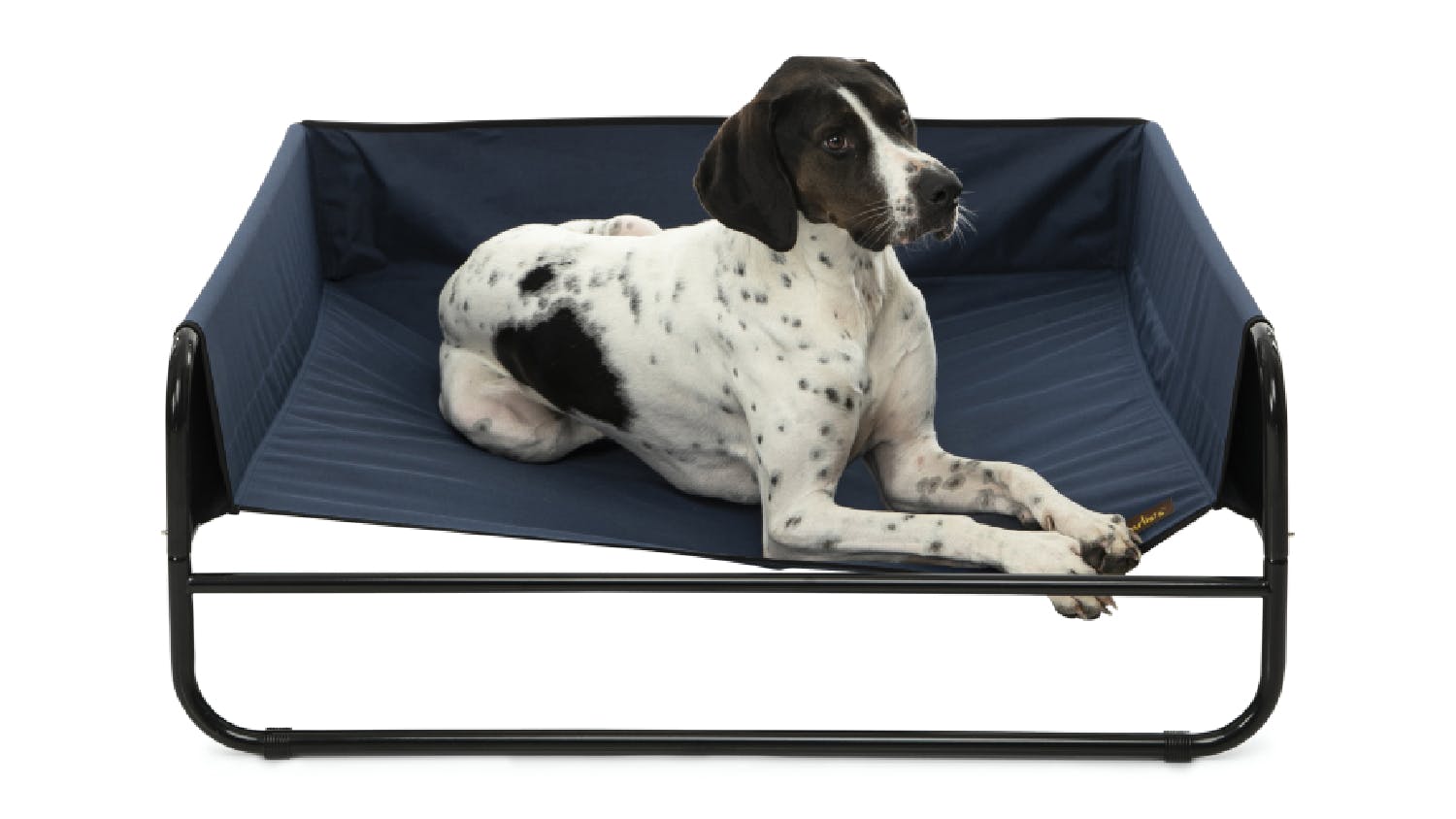 Charlie's High Wall Hammock Pet Bed Large - Blue