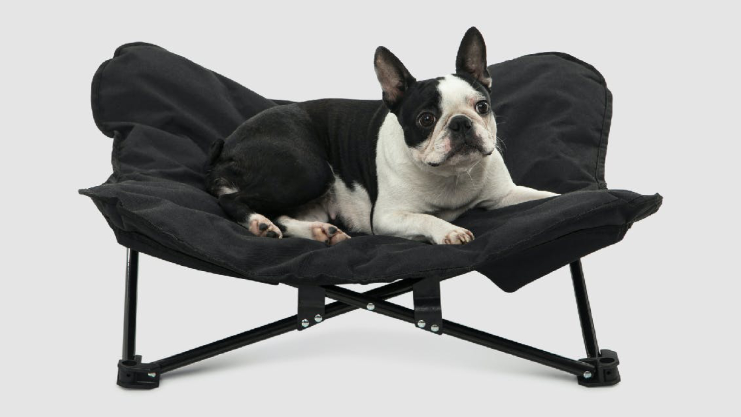 Charlie's Folding Plush Camping Pet Bed Large - Black