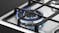 Fisher & Paykel 60cm 4 Burner Natural Gas on Steel Cooktop - Stainless Steel (Series 5/CG604CNGX2)