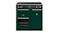 Belling 90cm Freestanding Oven with Induction Cooktop - Racing Green (Colour Boutique/BRD900IBRG)