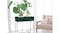 Kmall Raised Indoor Pot Plant Stand - Matte Green