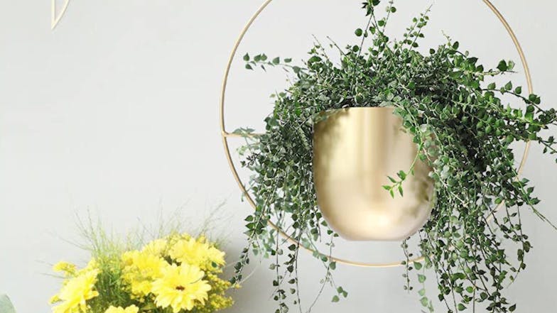 Kmall Modern Round Decorative Plant Hanger - Gold