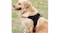 Kmall Adjustable Dog Harness with Handle Extra Large - Black