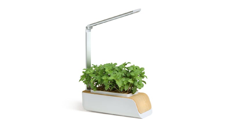 Kmall Benchtop Hydroponic Herb Garden with UV Grow Light