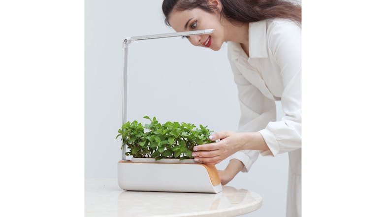 Kmall Benchtop Hydroponic Herb Garden with UV Grow Light