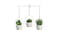 Kmall 3 Pot Modern Oval Decorative Plant Hanger - White