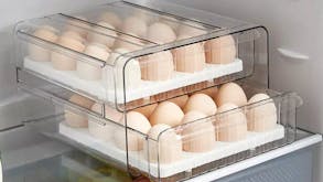 Kmall Plastic 32-Cell Refrigerator Egg Carton - White