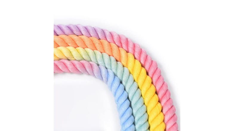 Kmall Soft Braided Rope Leash 150cm - Pastel Rainbow