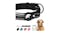 Kmall Nylon Dog Collar with AirTag Holder Extra Large - Black