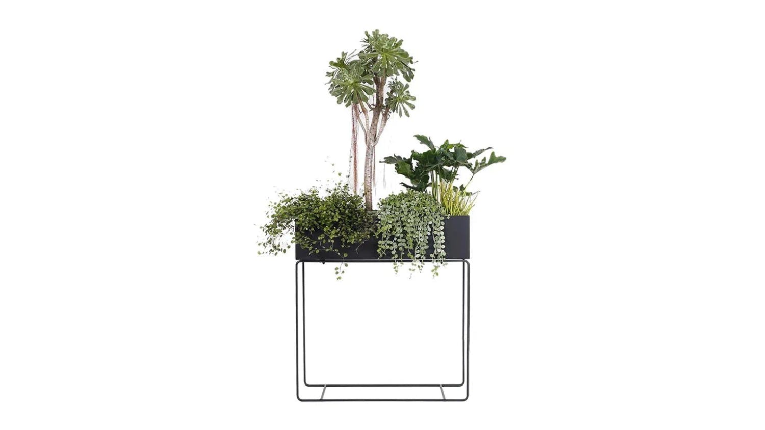Kmall Raised Indoor Pot Plant Stand - Matte Black