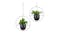 Kmall Modern Round Decorative Plant Hanger - Black"