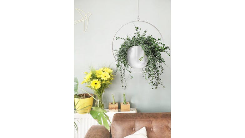 Kmall Modern Round Decorative Plant Hanger - White