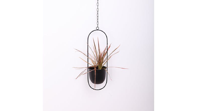 Kmall Modern Oval Decorative Plant Hanger - Black