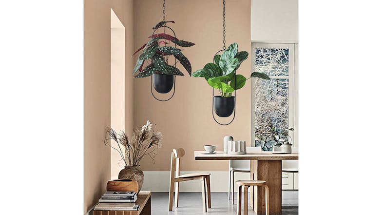 Kmall Modern Oval Decorative Plant Hanger - Black