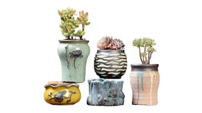 Kmall Decorative Succulent Plant Pots 5pcs.