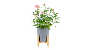 Kmall Plastic Plant Pot with Drainage Holes, Matching Bamboo Plant Stand 3pcs.