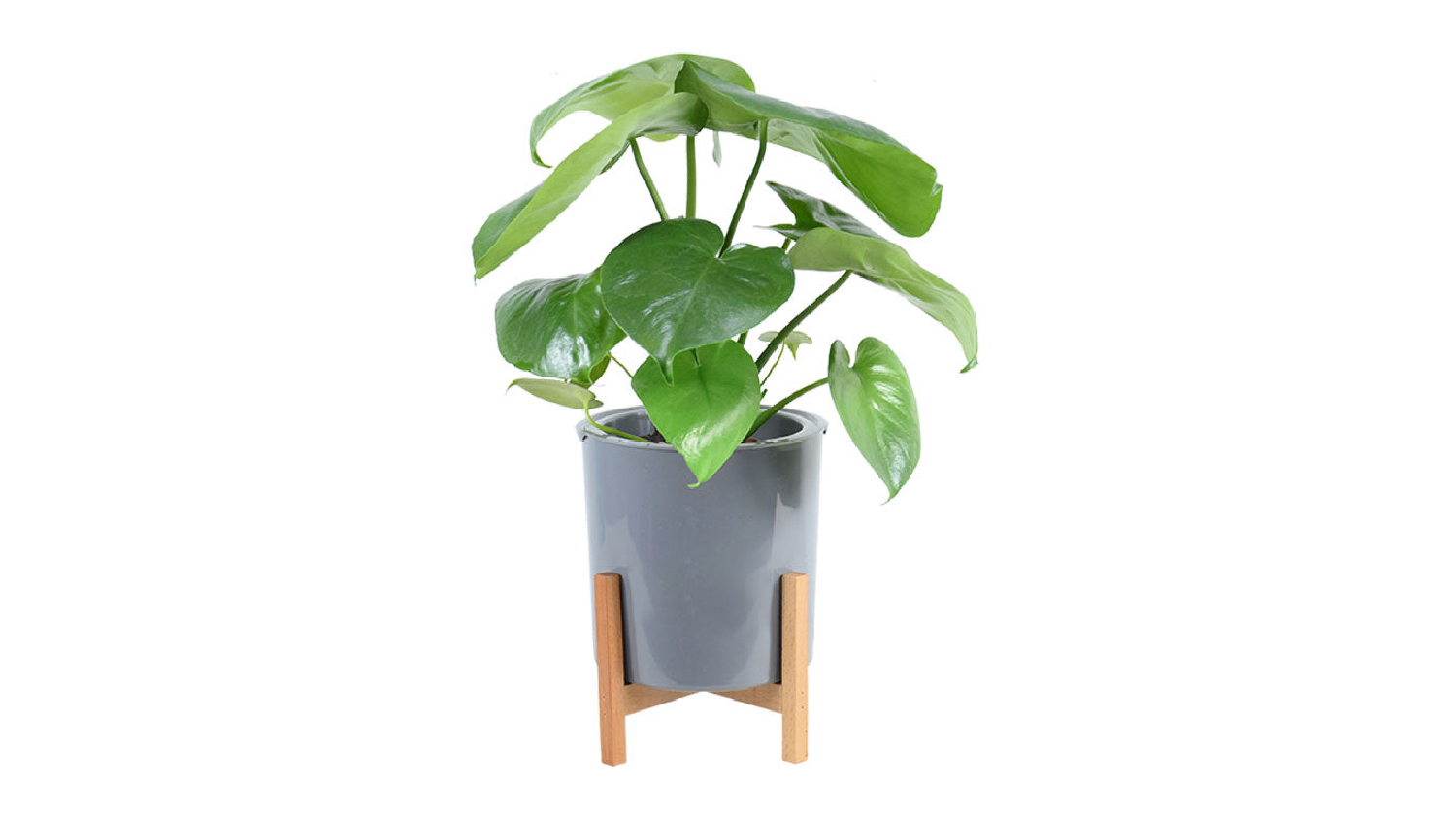 Kmall Plastic Plant Pot with Drainage Holes, Matching Bamboo Plant Stand 3pcs.