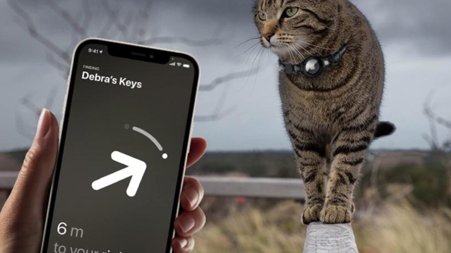 A person using a smartphone to find their cat’s precise positioning.