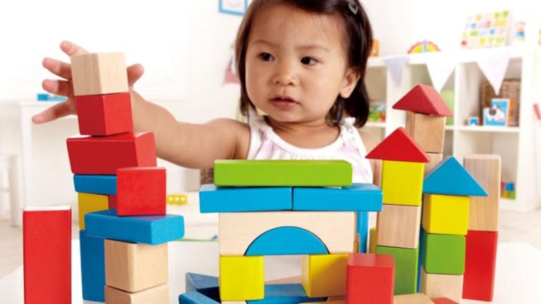 Hape Maple Wood Building Blocks