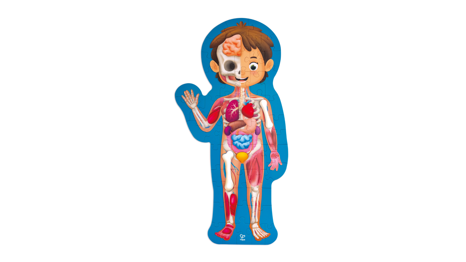Hape Human Body Puzzle 50pcs.