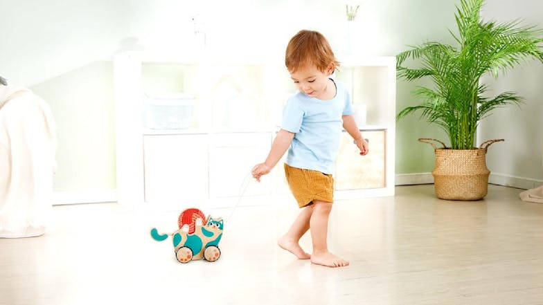 Hape Pull-Along Roll & Rattle Kitten