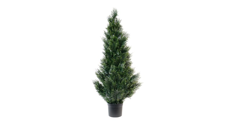 Potted Nua Cedar Topiary - 120cm