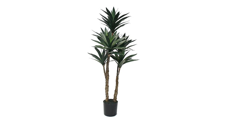 Potted Dracaena Plant - 91cm