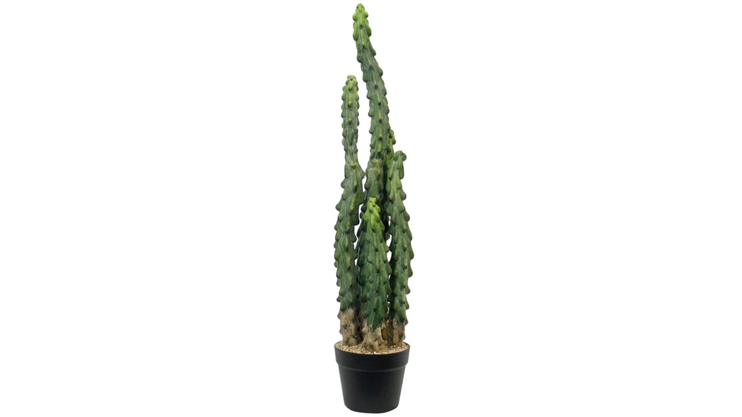 Cactus - 81cm