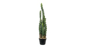 Cactus - 81cm