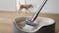 Dyson V8 Extra Handstick Vacuum Cleaner - Silver/Purple