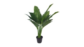Potted Real Touch Spathy Phyllum - 73cm
