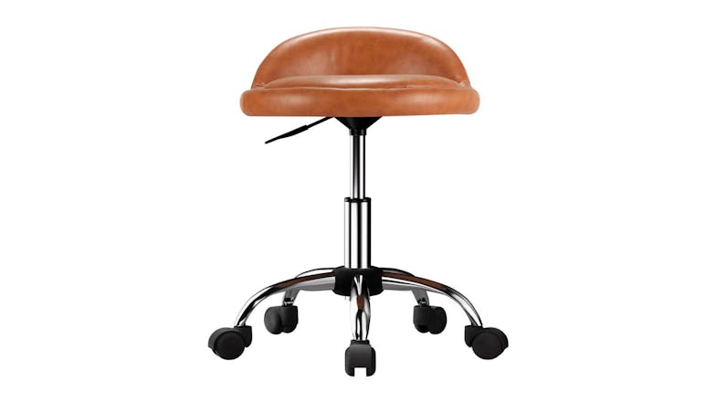 Artiss Professional Adjustable Salon Swivel Chair - Brown