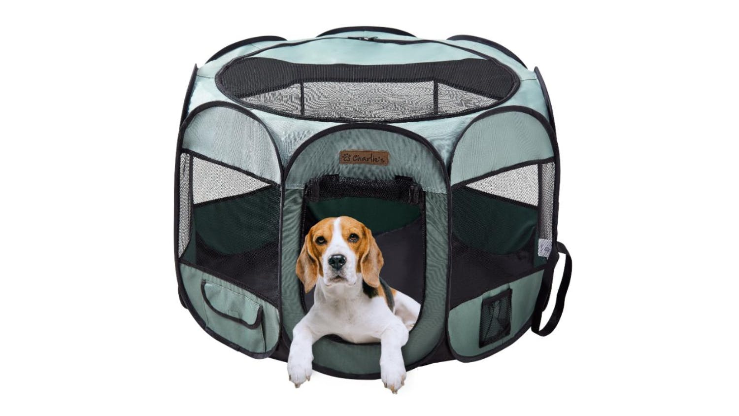 Charlie's Portable Folding Pet Playpen with Mesh Walls Small - Sage Green
