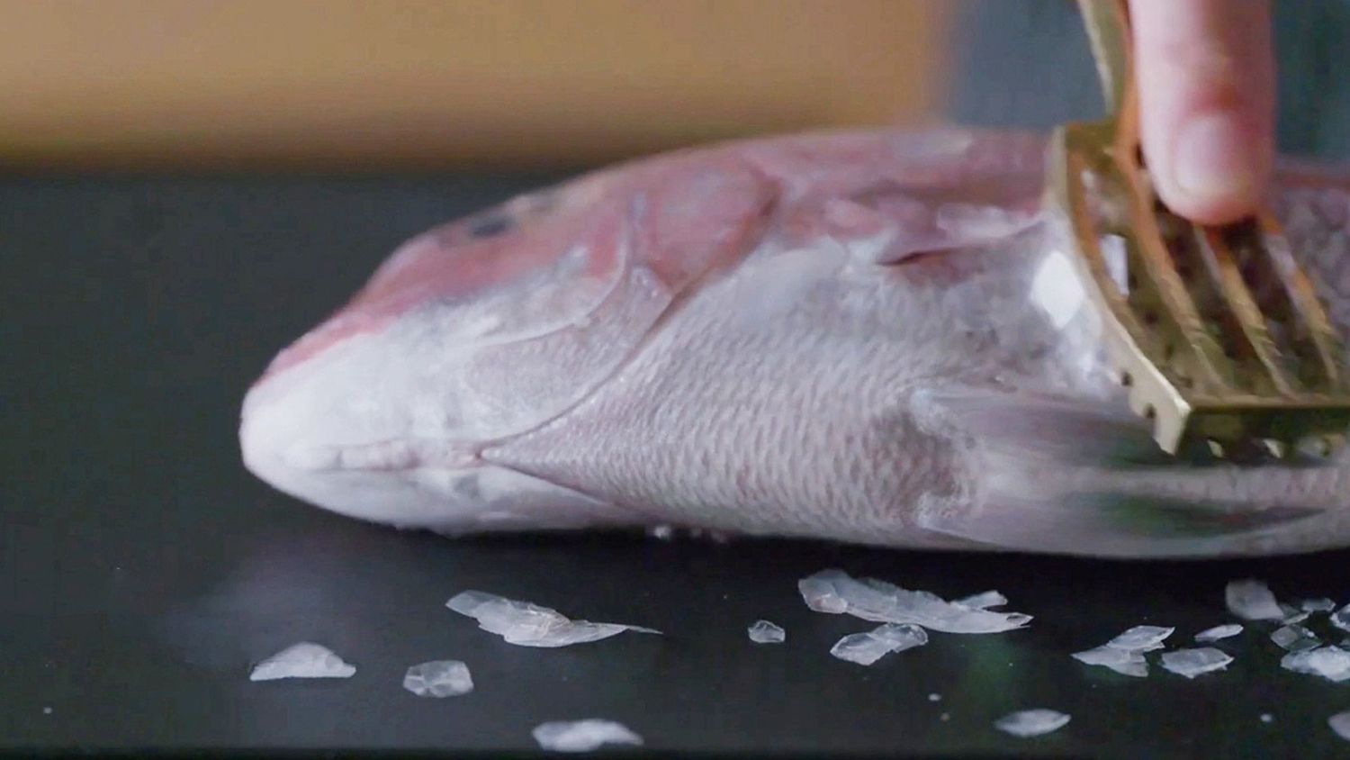 Hoshii Brass Fish Descaler