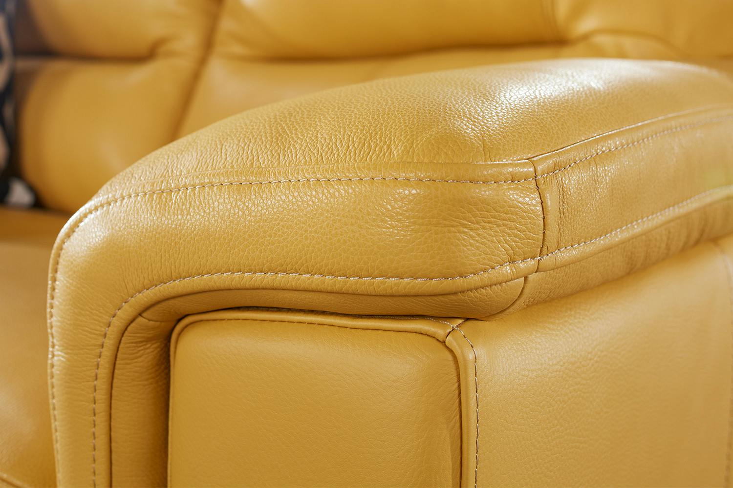 Braxton 2 Seater Leather Sofa