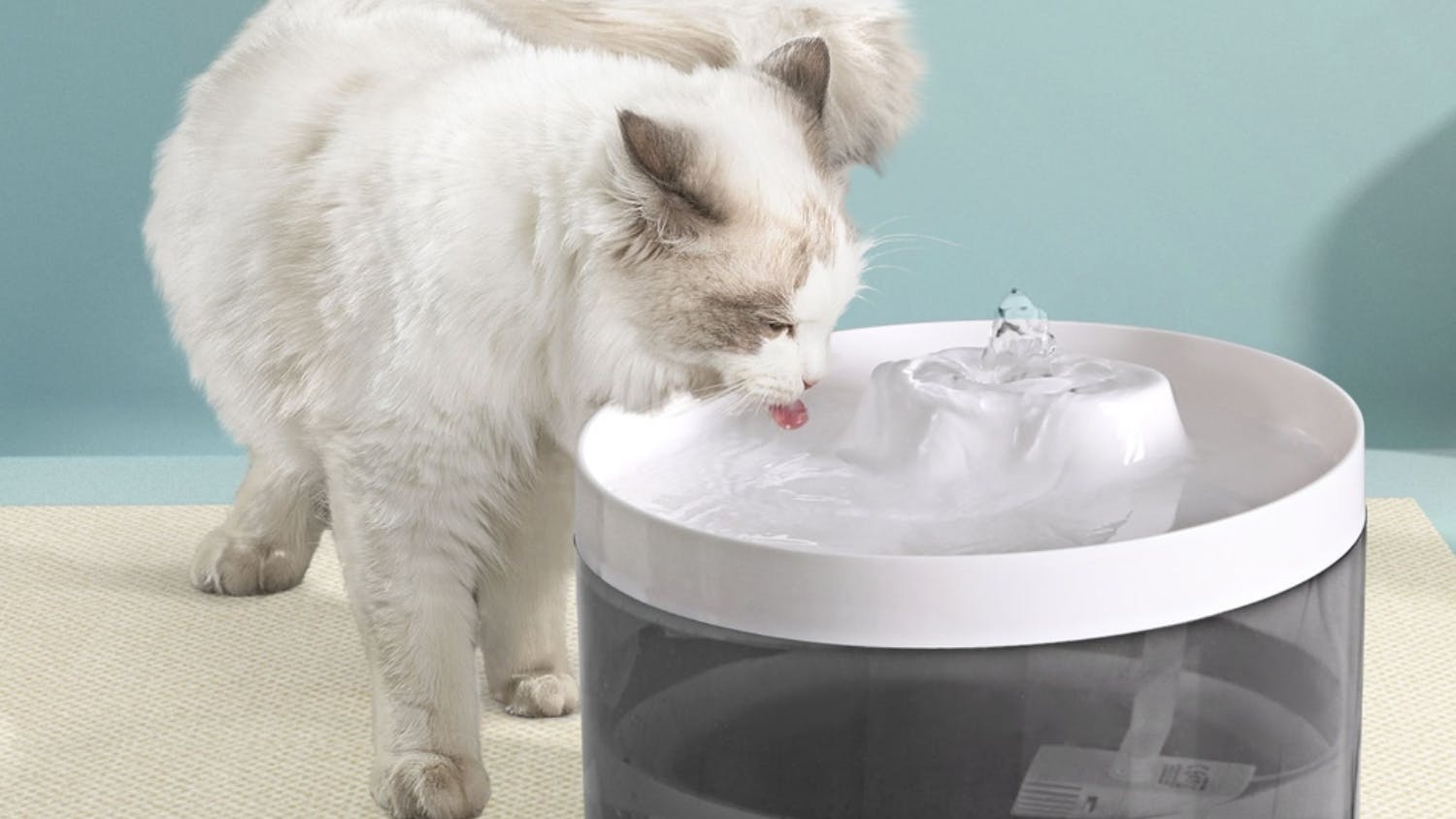 i.Pet Filtered Pet Water Fountain 2.2L