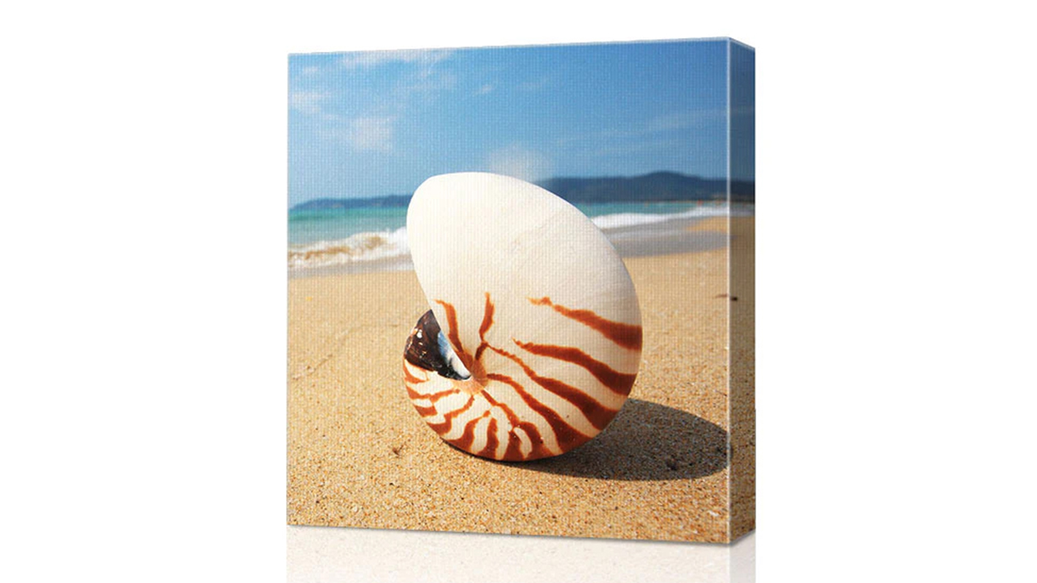 Square Canvas Prints - Up to (101x101cm)